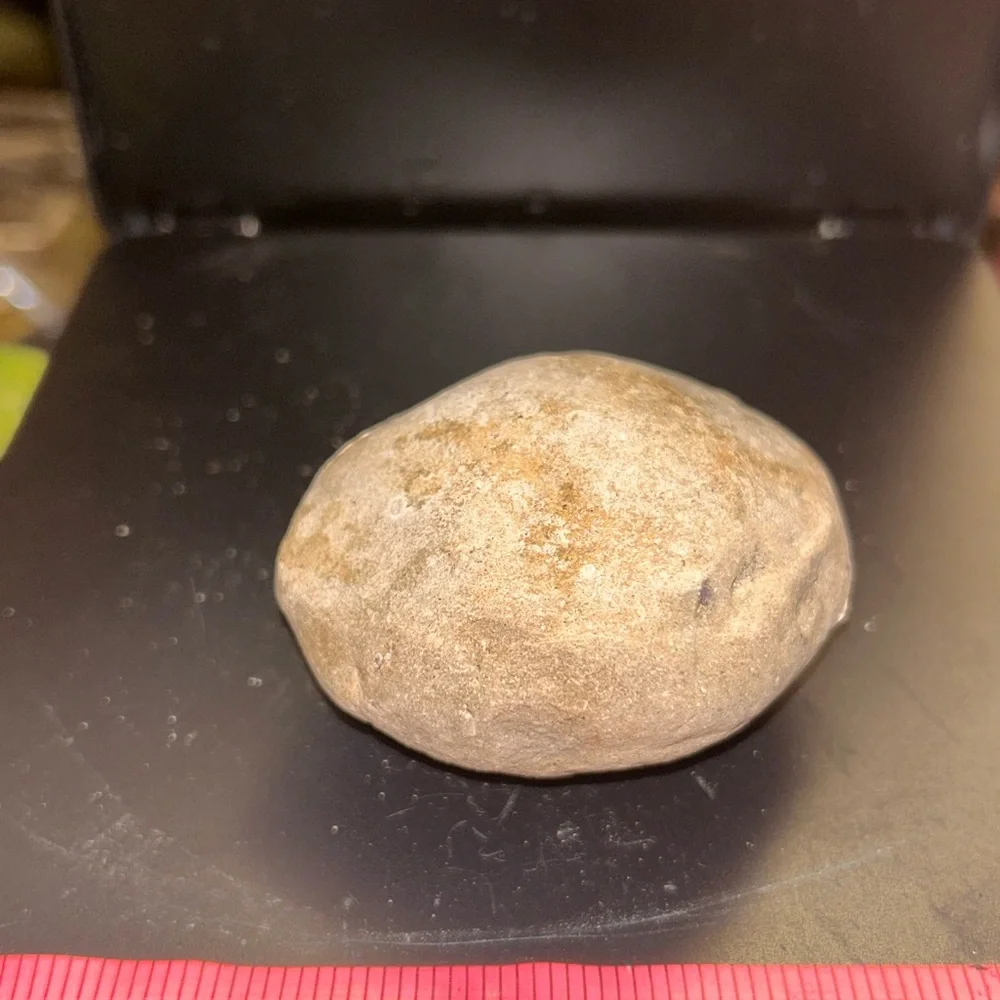 Natural Tan Reptile Habitat Rock